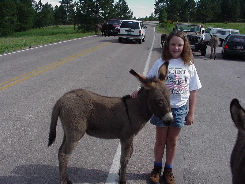 Stephanie and wild baby burrow.JPG - 2000 - Custer SP, Custer, SD - Stephanie with a "Wild" donkey